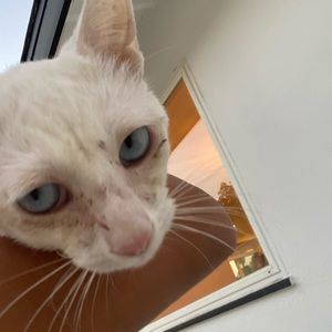 Meet your Posher, Luciana